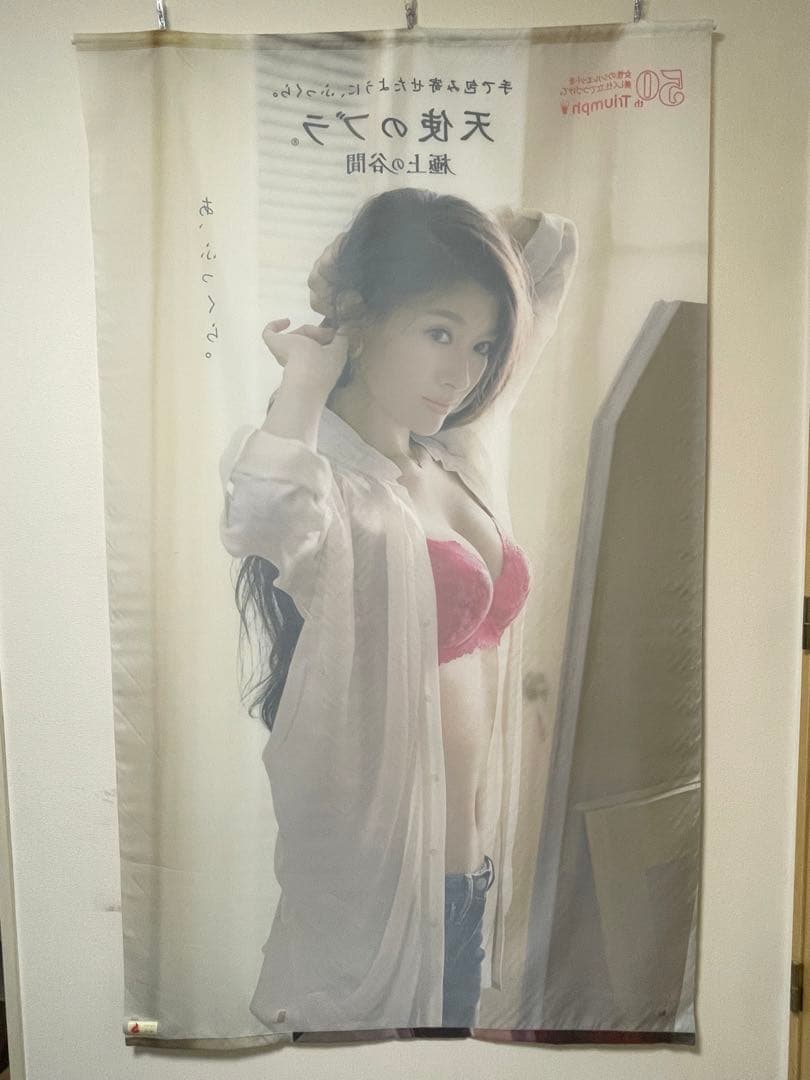 レア品】篠原涼子×天使のブラ タペストリー縦200㎝×横90㎝ - メルカリ