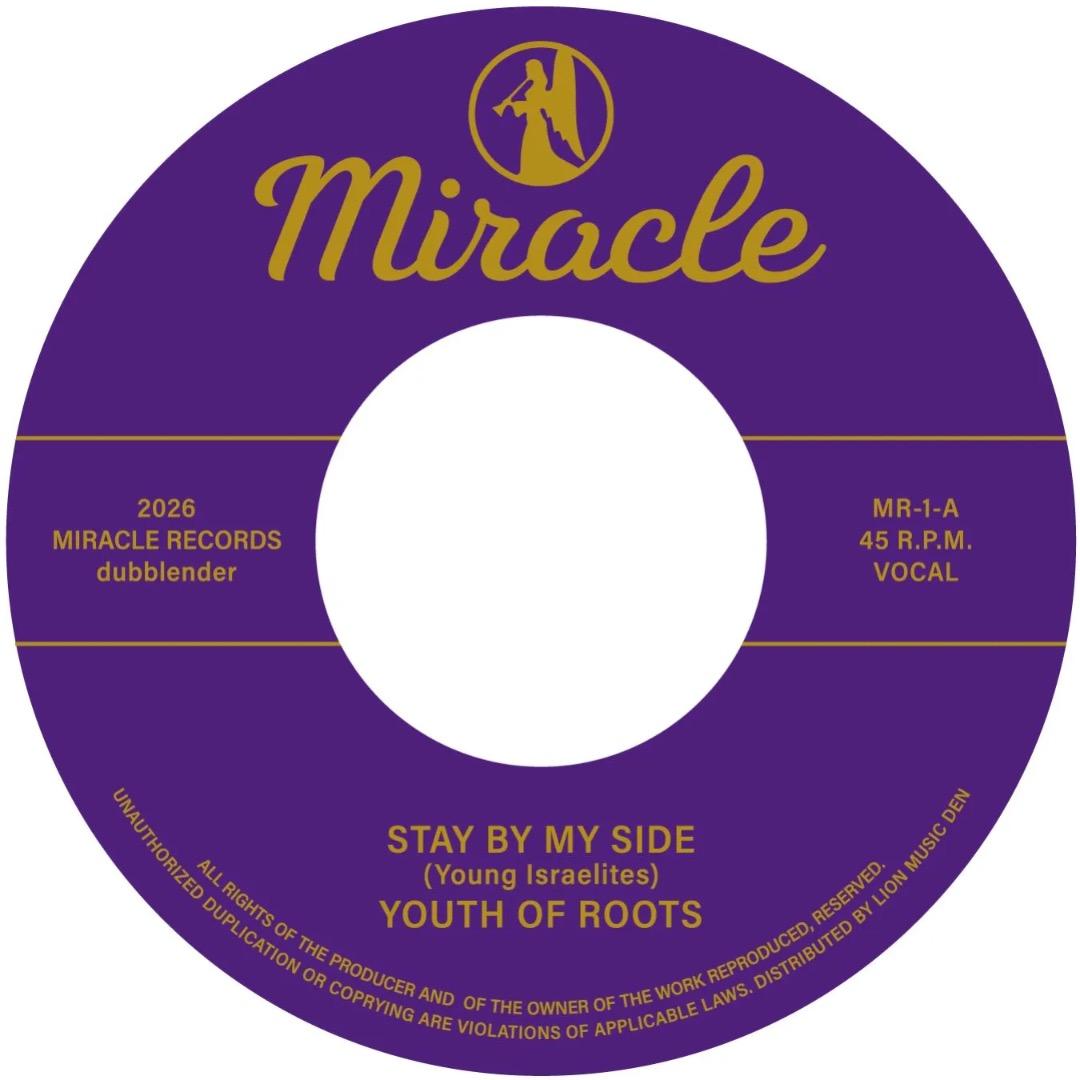 Youth of Roots 7インチ レコード 新品 - メルカリ