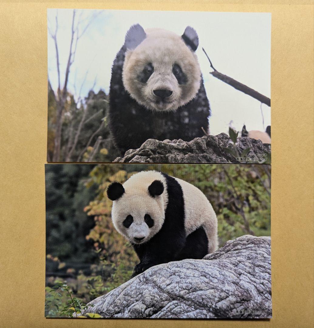 上野 松坂屋 シャオシャオ レイレイ 毎日パンダさんの双子の思い出