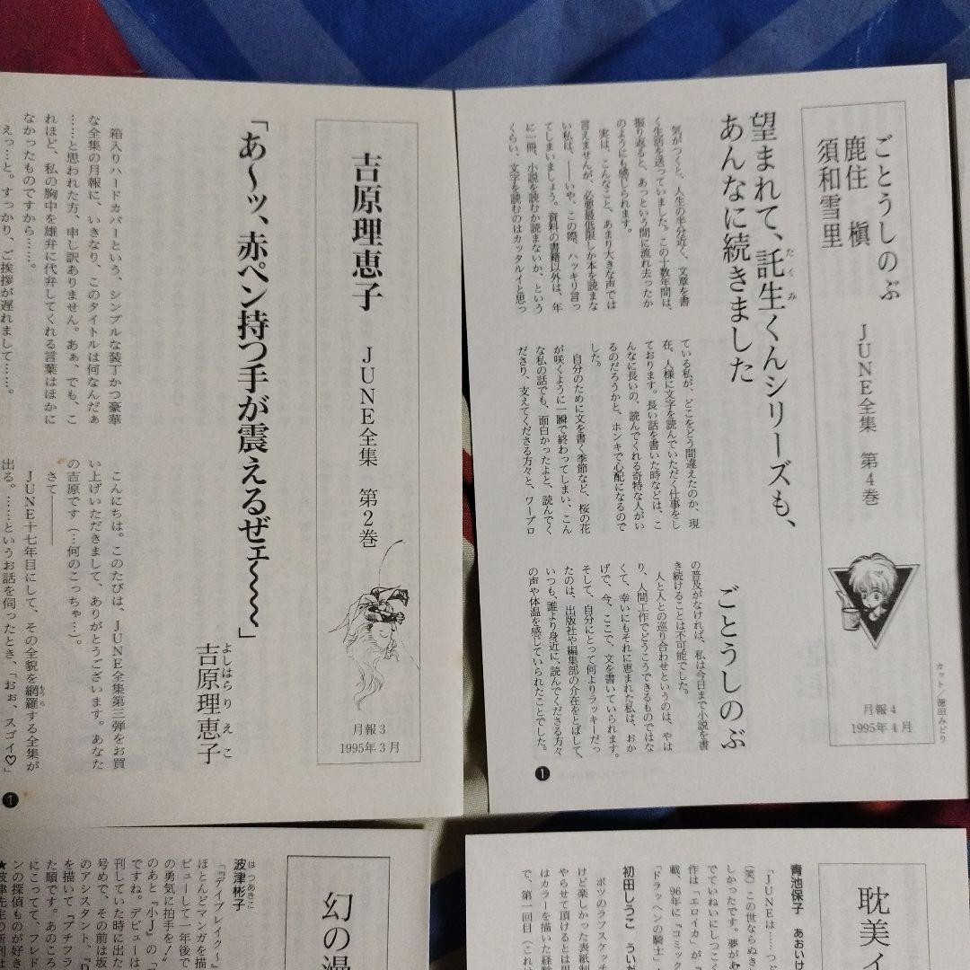 小説 June全集 全12巻 ＢＬ小説