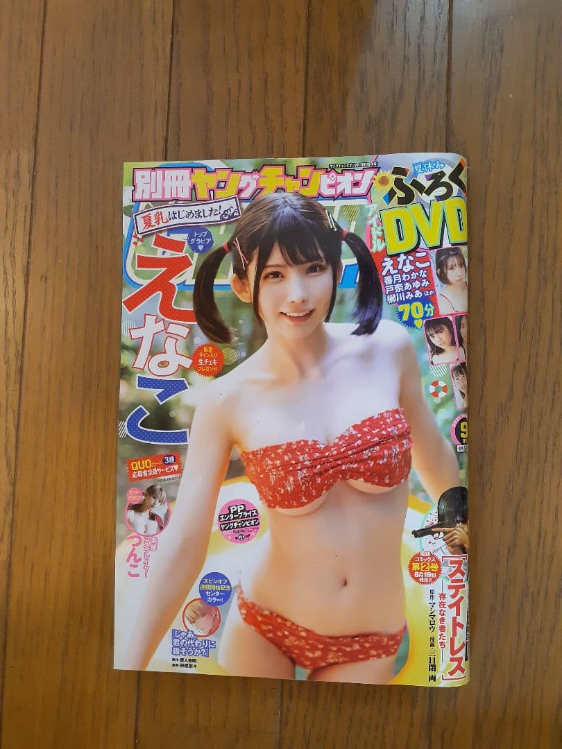 えなこ他 DVD特集　計14冊セット　田中美久まとめ売り