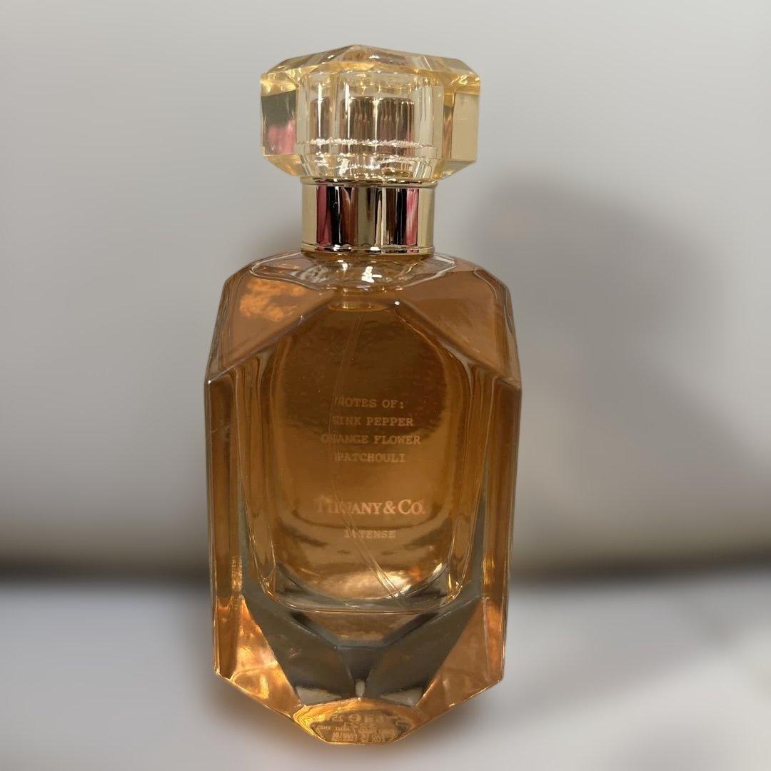 りん オーリンズ(Ohlins) TTX GP ツインチューブサスペンション ZX-10R/RR