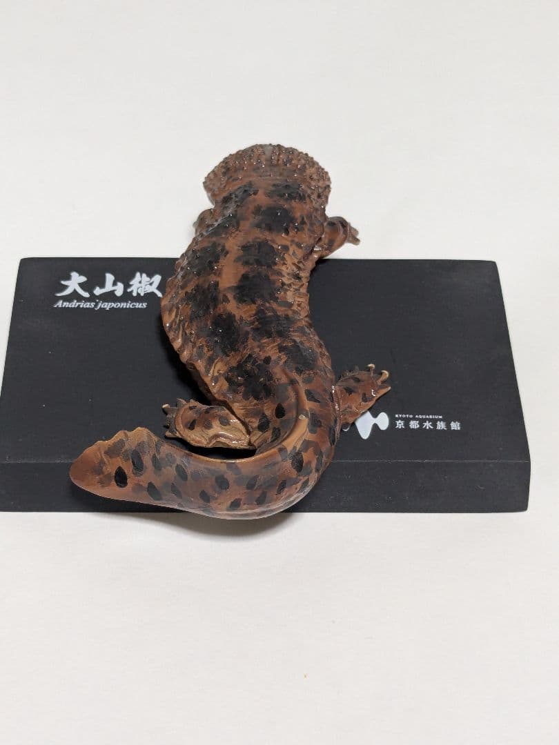 海洋堂 京都水族館限定フィギュア オオサンショウウオ - メルカリ