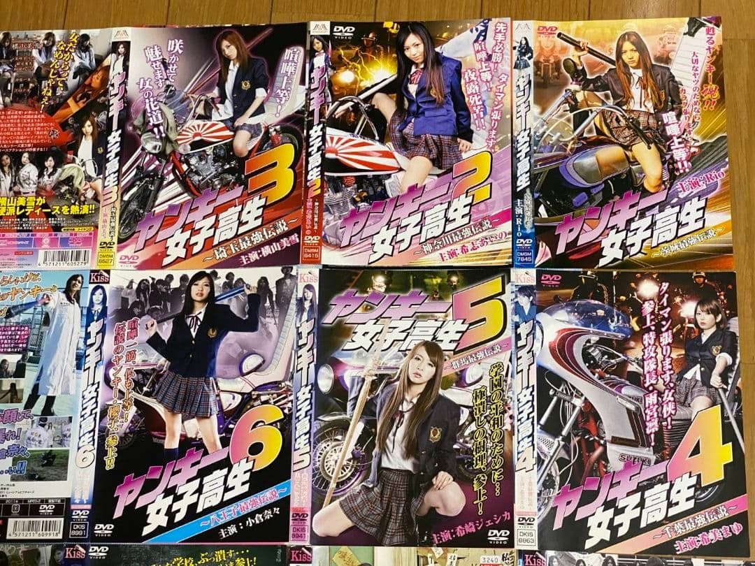 ヤンキー女子高生 全9巻セットとヤンキー女子高生全国制覇への道 全4巻 計13枚