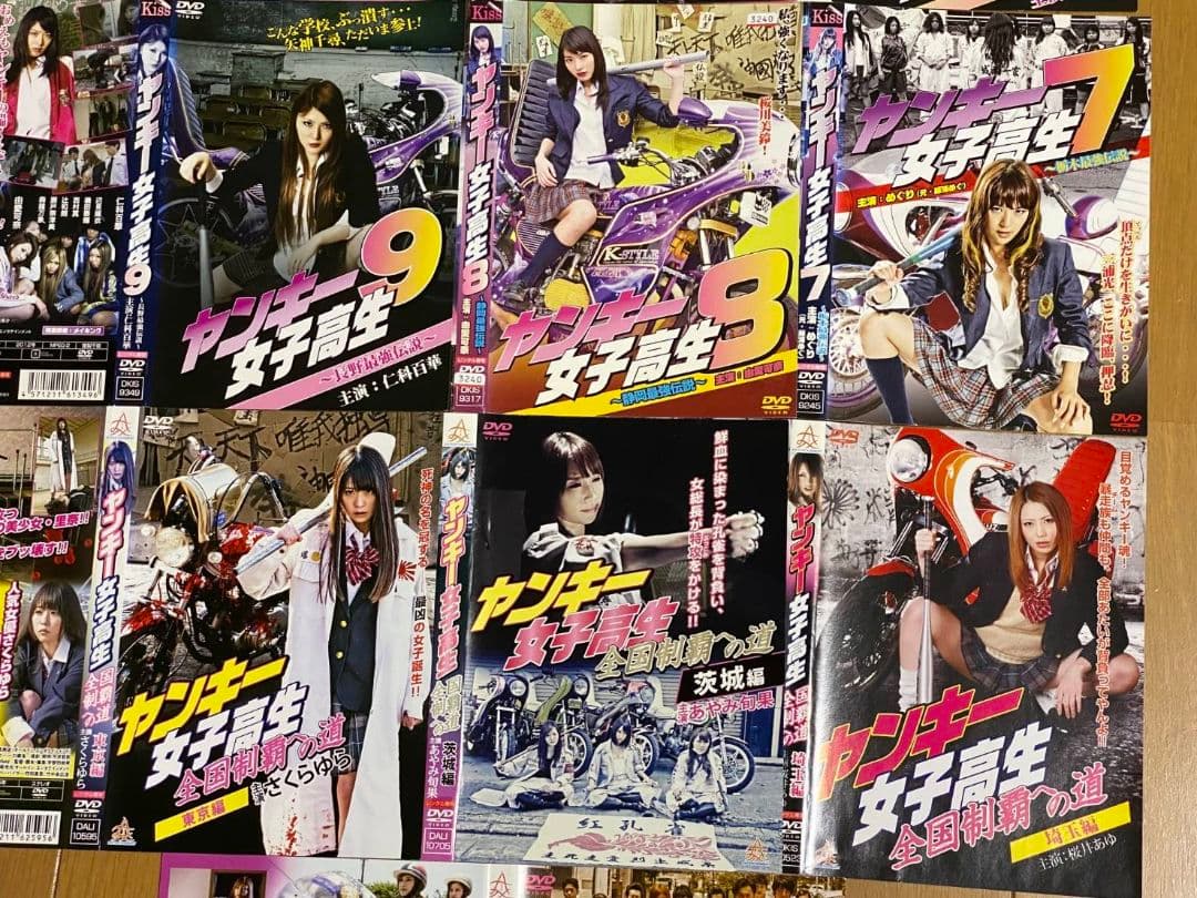 ヤンキー女子高生 全9巻セットとヤンキー女子高生全国制覇への道 全4巻 計13枚