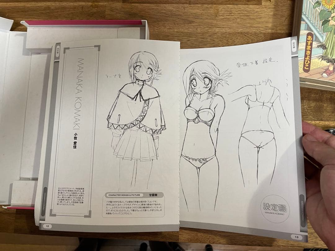 ToHeart2箱+イラスト集ディスク無し