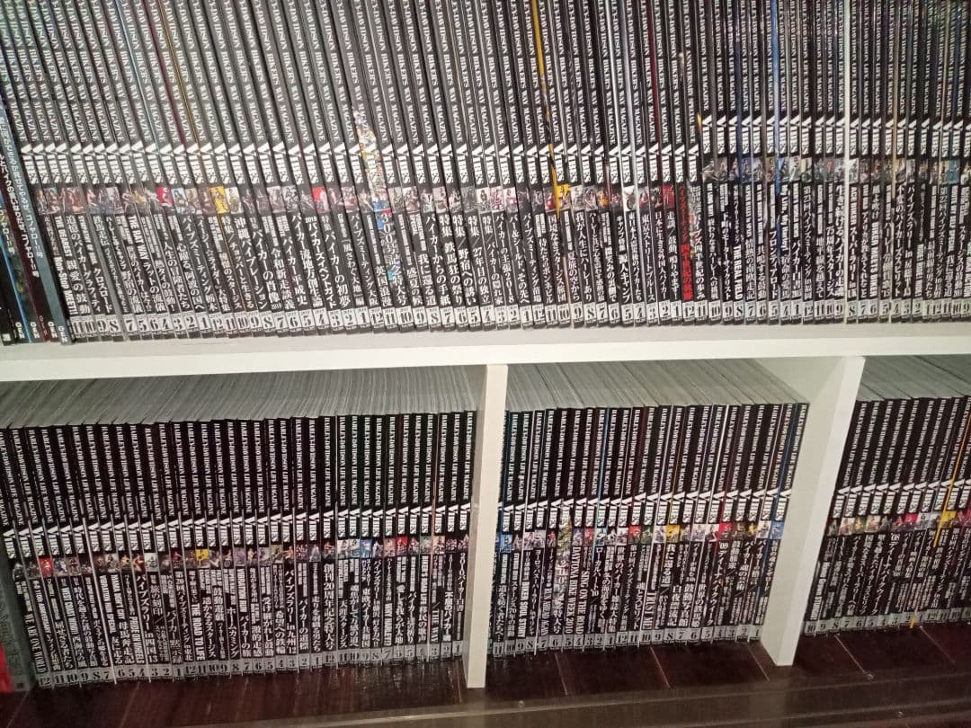 ハーレーダビッドソンバイブズVIBES旧車雑誌 74329_n.jpg