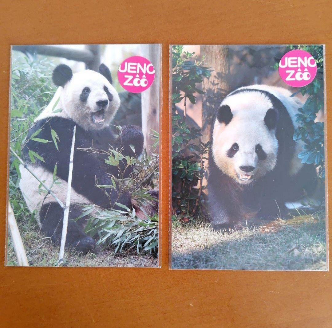 シャオシャオ レイレイ グッズ まとめ売り 激レア DVD 上野動物園