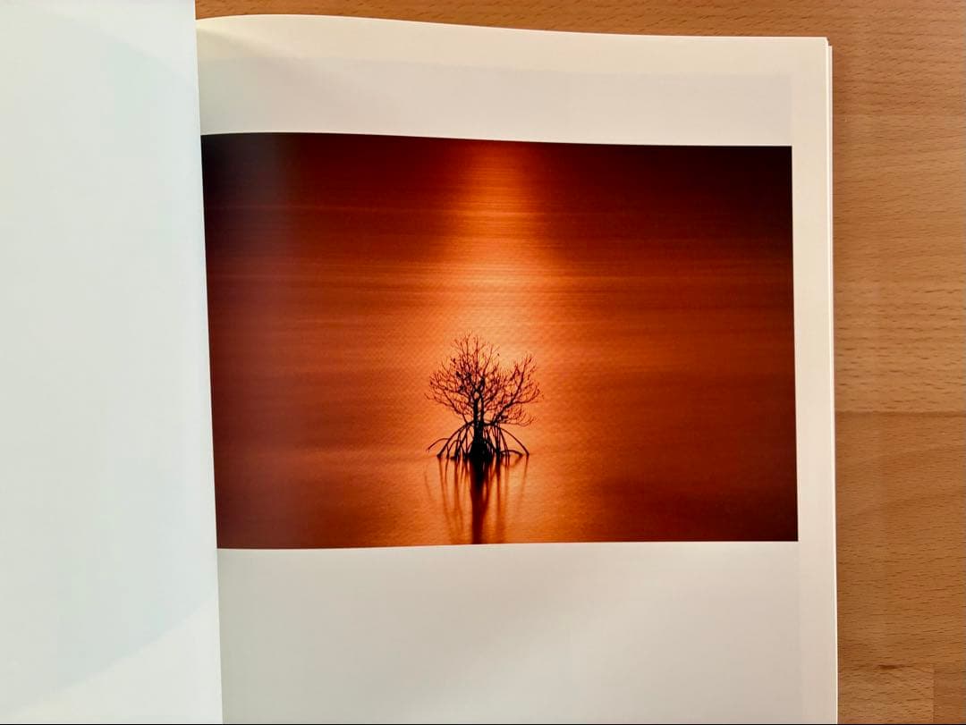 米津光 伊藤之一 写真集 2冊セット - メルカリ