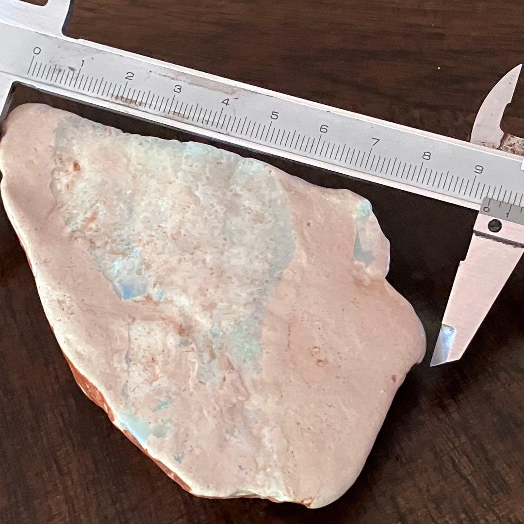 プレシオサウルスのヒレ骨 オパール 化石 標本 オーストラリア