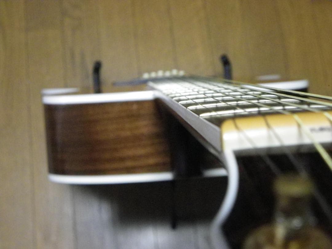 お値引き/シーガルArtist Studio EQエレアコ、LR Baggs装備