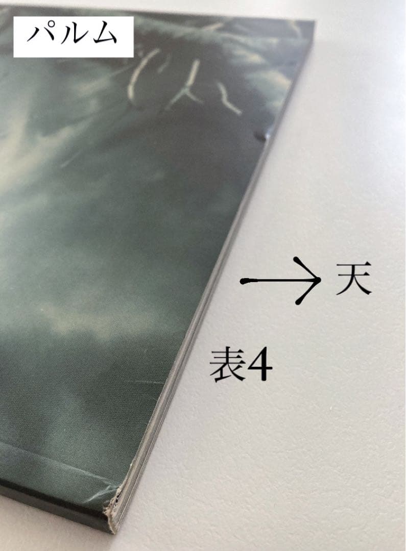 VERSACE 1999 / 2000 ヴェルサーチ カタログ 写真集 - メルカリ