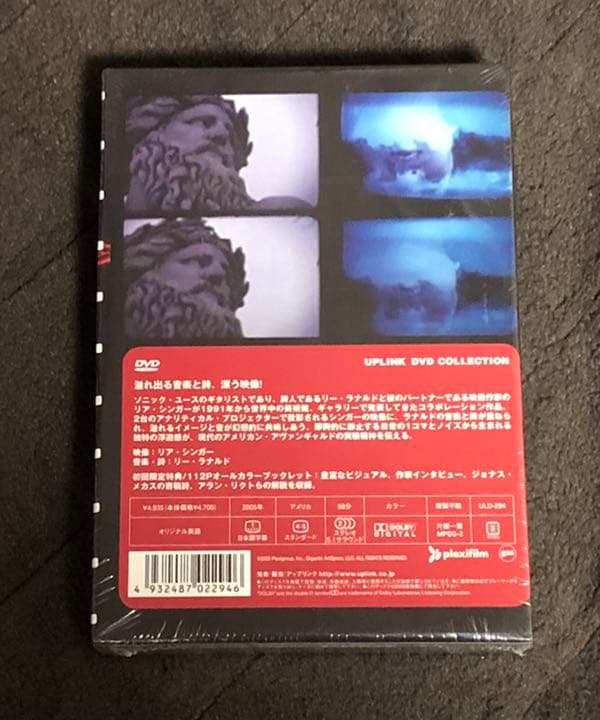 レア‼️ 廃盤‼️ DRIFT＜初回生産限定盤＞ Sonic Youth