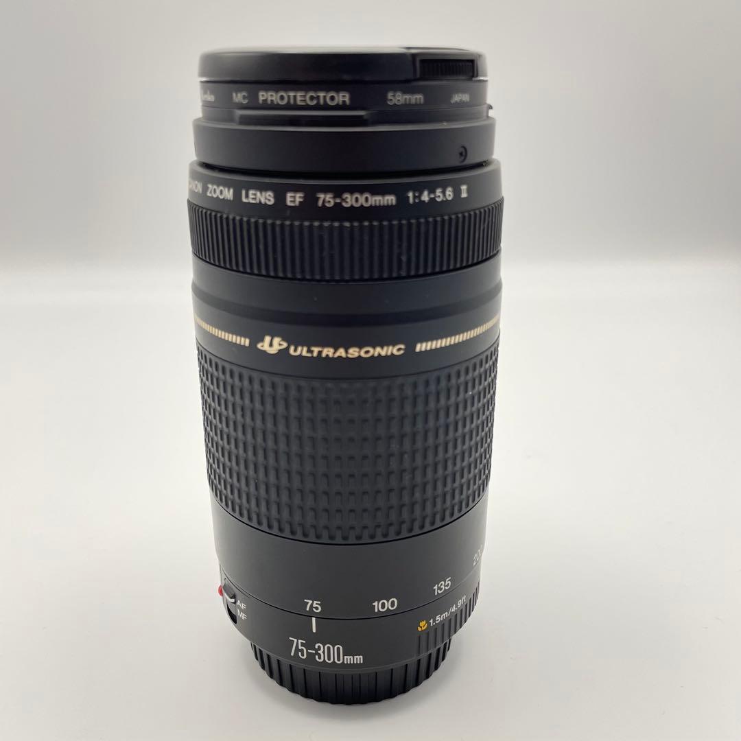 Canon EF 75-300mm F/4-5.6 II 超望遠レンズ　キャノン
