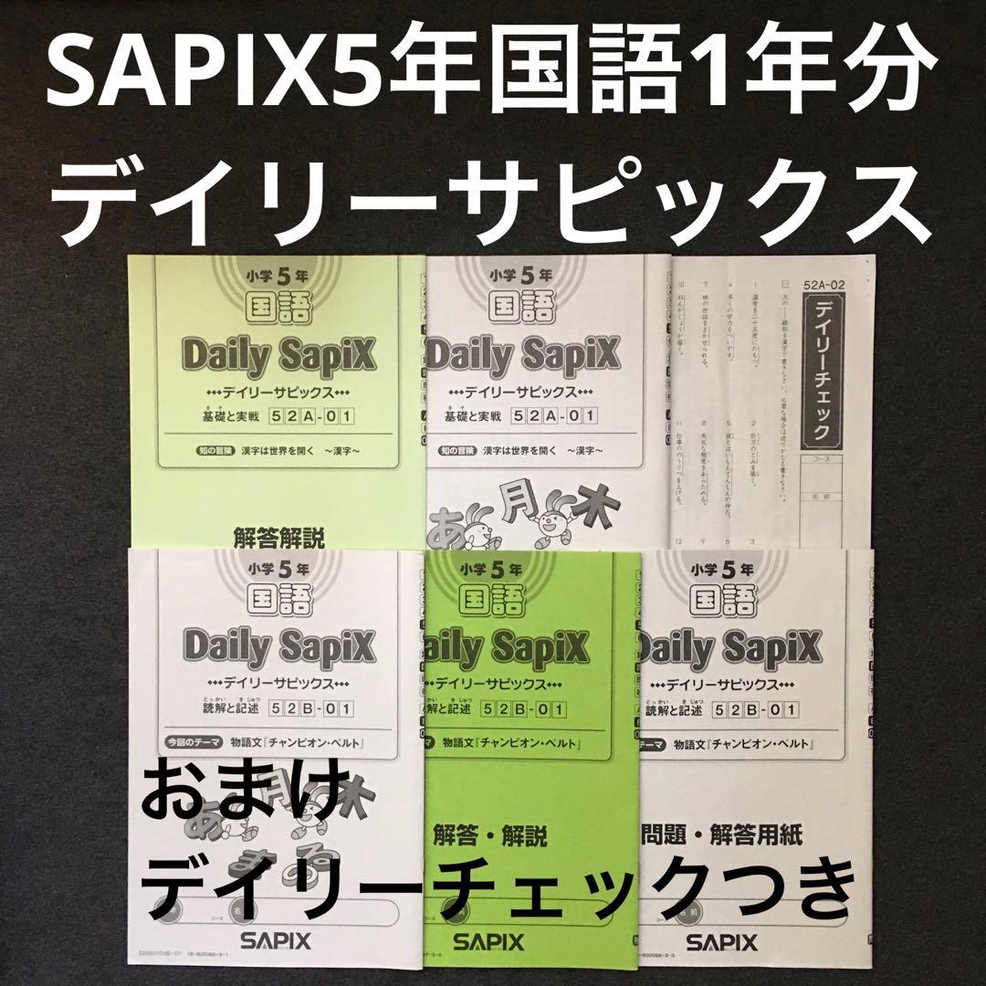 2023年度 小学6年 国語 Daily SapiX 国語B サピックス SAPIX ♪大人気