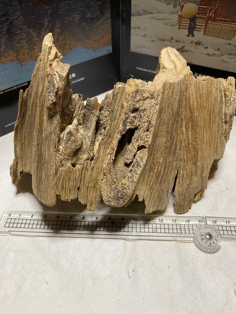 ベトナム産天然香木 希少良香馬蹄泥沈香162.7g 香道聞香用六国五味伽羅