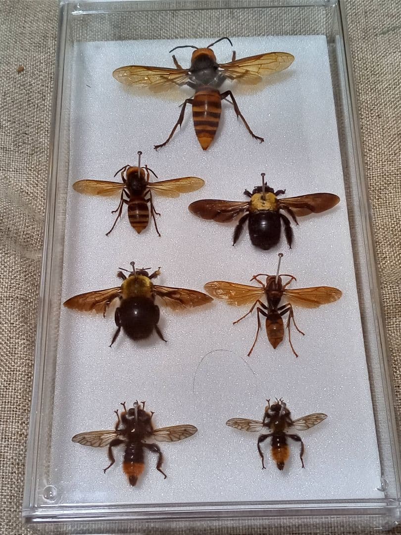 専用。4点まとめ買い商品。 Adidas 465240 ZX 8000 Sz MEN US 10 Rare “I WANT I CAN” Limited