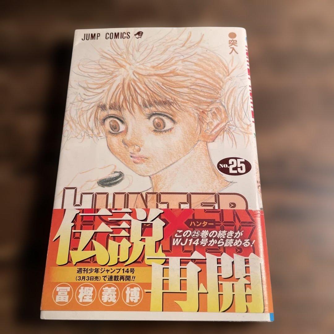 ☆初版・帯・ジャンパラ付き☆ ハンターハンター コミックス 25巻