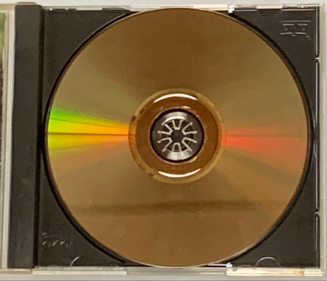 THE STREET SLIDERS LAST DAY DVD 廃盤 入手困難 - メルカリ