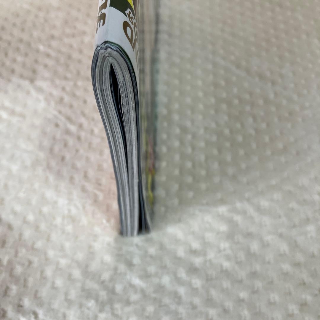 週刊プレイボーイ 2018年No.19GW特大号 今田美桜DVD付き　西野七瀬