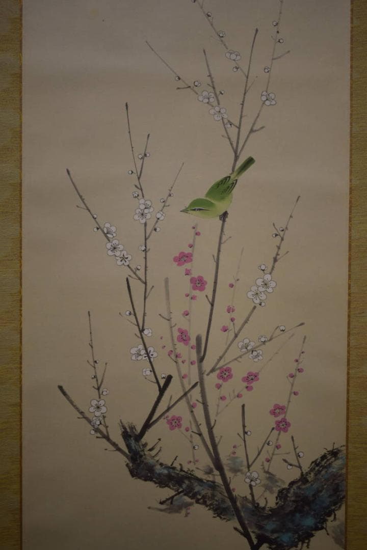 真作/斎藤翠紅/紅白梅鴬図/桐共箱付/布袋屋掛軸HI-911 - メルカリ