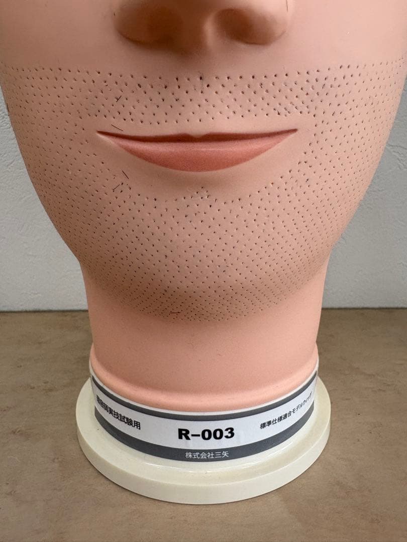 国家試験用 カットウィッグ 練習用 カット済み R-003 三矢 - メルカリ