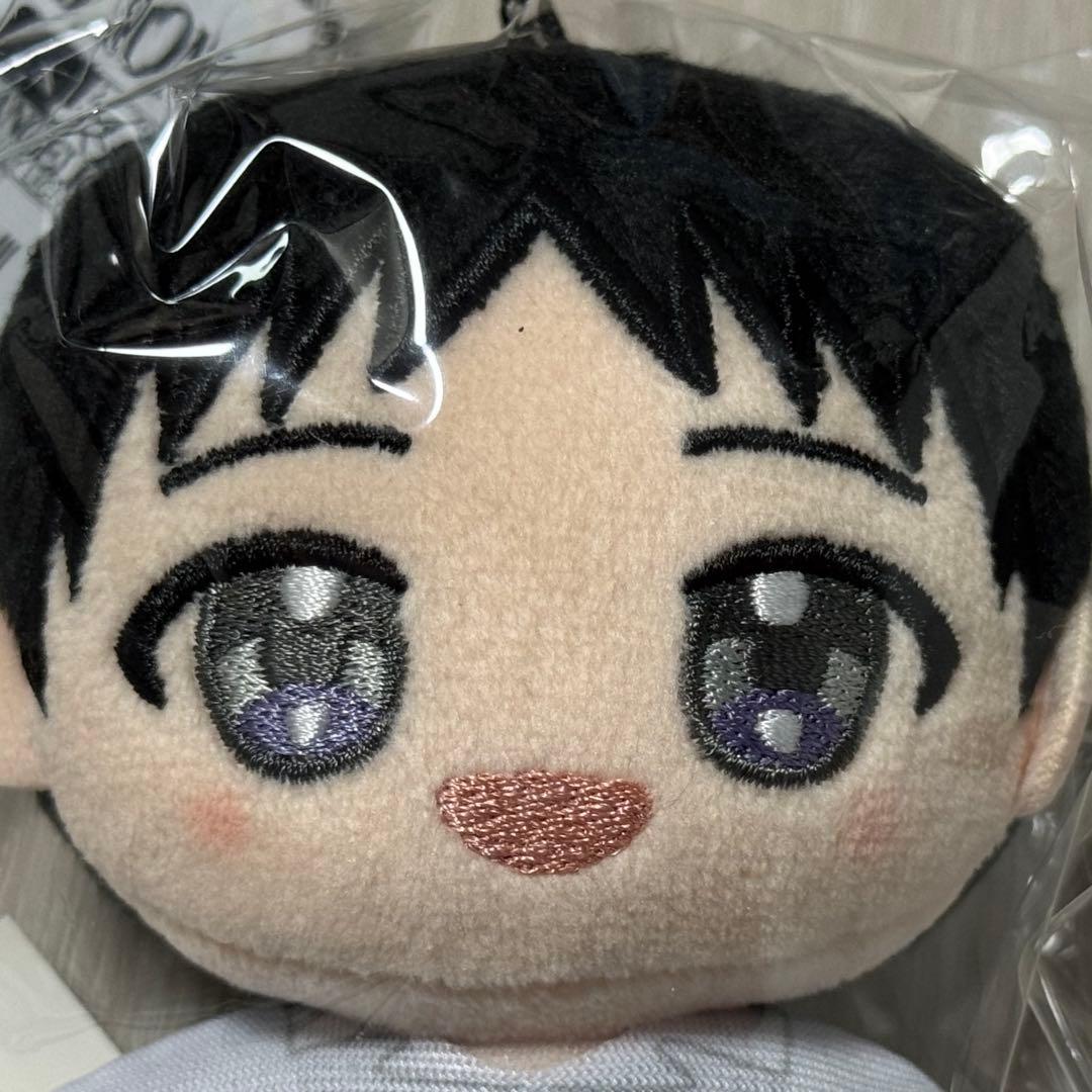 エヴァンゲリオン ぬいパル 碇シンジ 渚カヲル - メルカリ