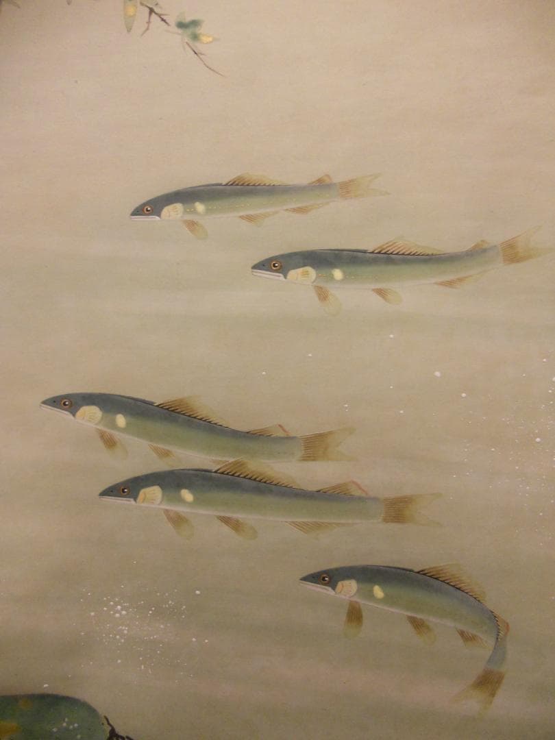 掛け軸 坂本楽山人 作 『 青楓に鮎 』 絹本 希少 軸装 茶道具 掛軸 美