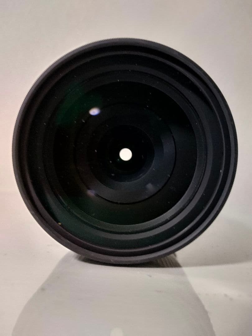 タムロン16-300mm F3.5-6.3 Di II VC PZD MACRO