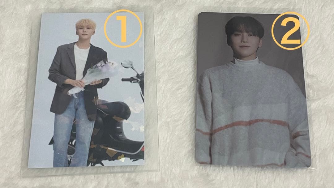 【piro】トレカ One Piece Proxy Card Holo - Roronoa Zoro ST12-008 Treasure Cup