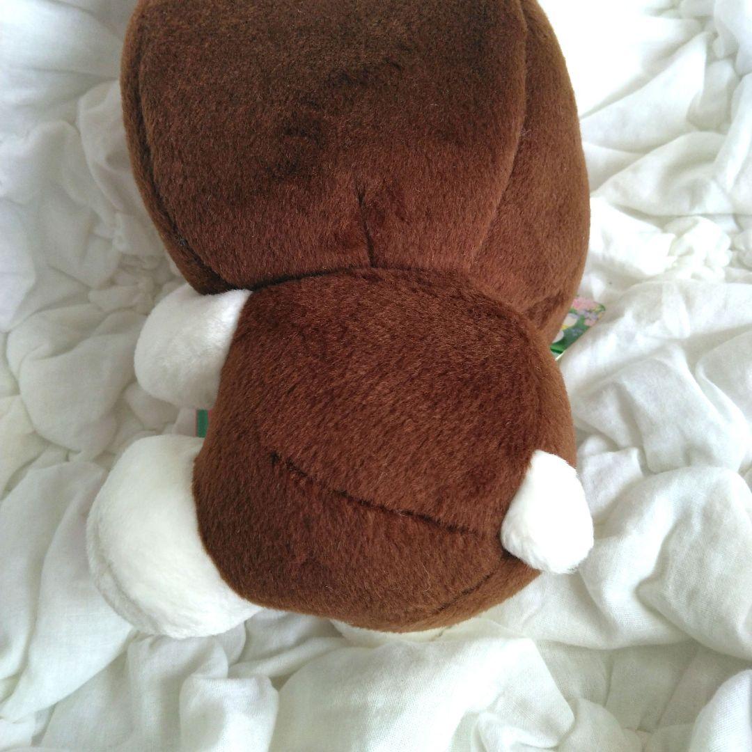 ご当地キティ 熊本 ハローキティ ぬいぐるみ キティ くま 本 サンリオ