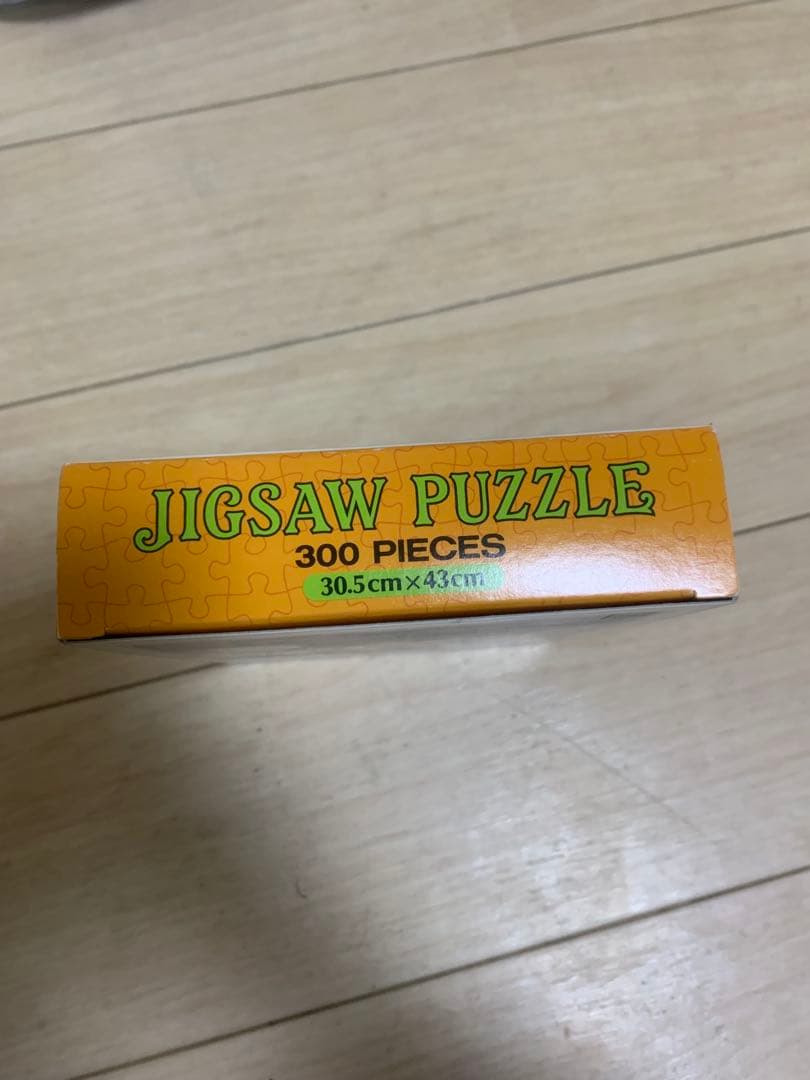 レトロ 東京ディズニーランド ジグソーパズル 実写版 300ピース レア