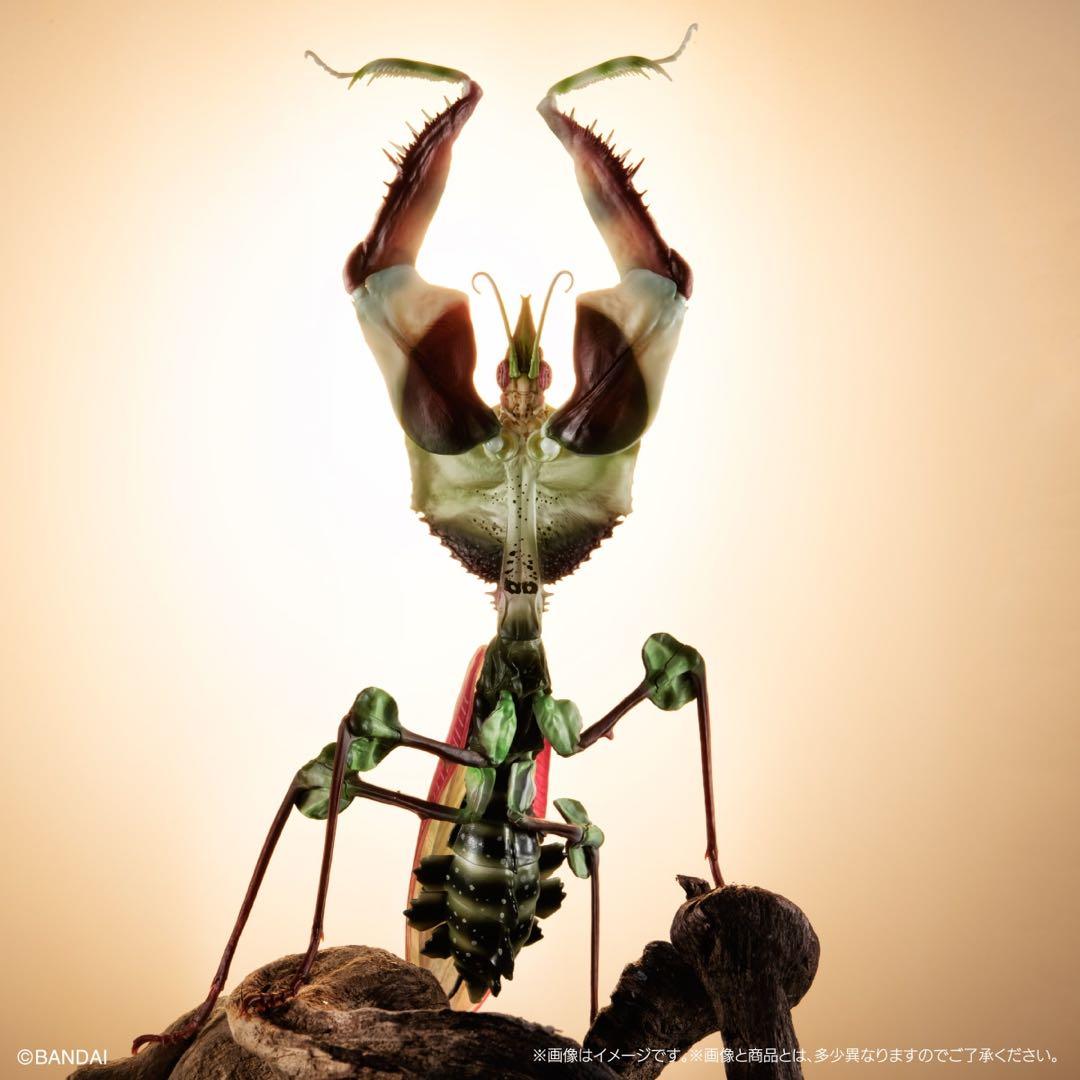 おーくりん。様専用】いきもの大図鑑アドバンス ニセハナマオウ