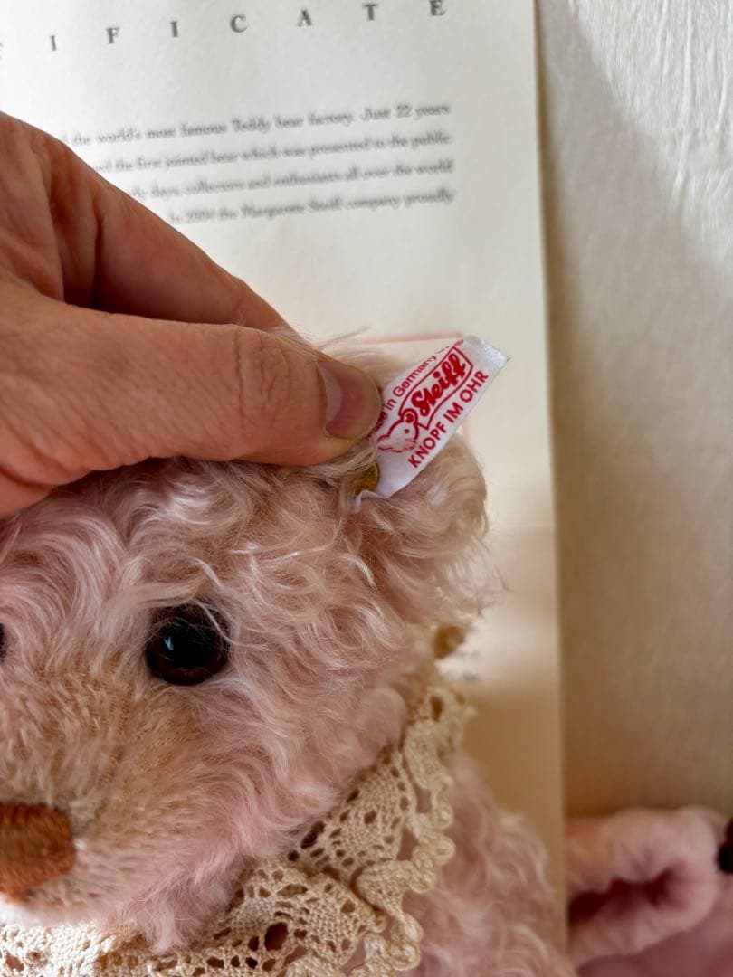 シュタイフ社 テディベア ピンク シュタイフフェスティバル記念ベア