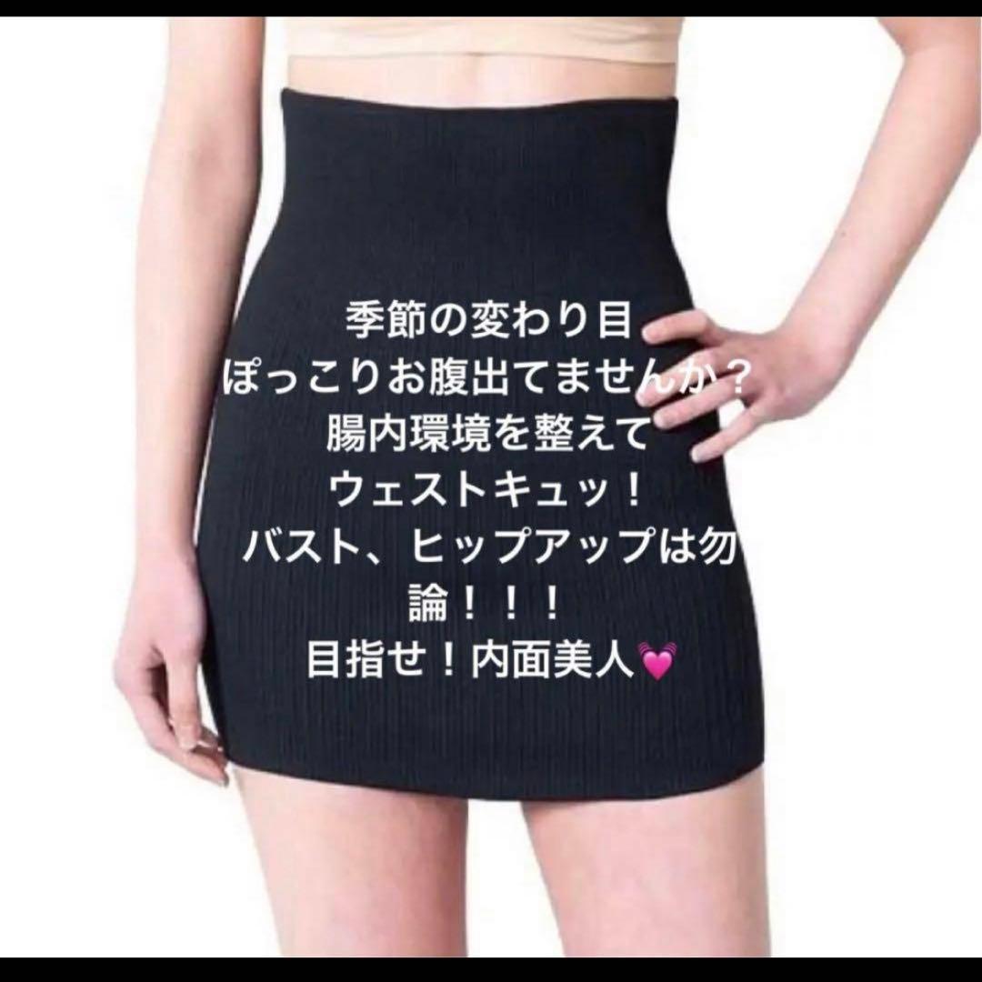 フェレナ Fealena リフトサポーター (ウエスト&ヒップ用)