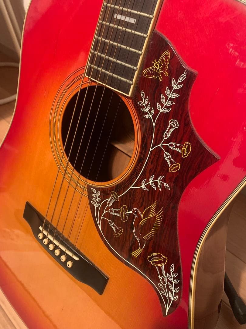 モーリス ハミングバード ヴィンテージアコースティックギター WH-25