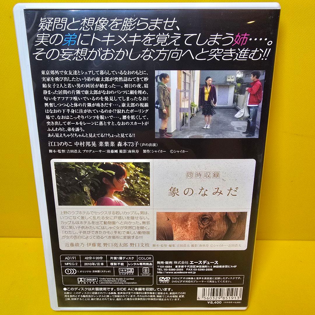 ※新品ケース交換済み　お姉ちゃん、弟といく [DVD]