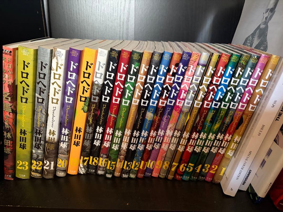 ドロヘドロ 全巻＋オールスター名鑑 Amazon.co.jp: ドロヘドロ 林田球 全巻 全23巻 +オールスター名鑑 完全