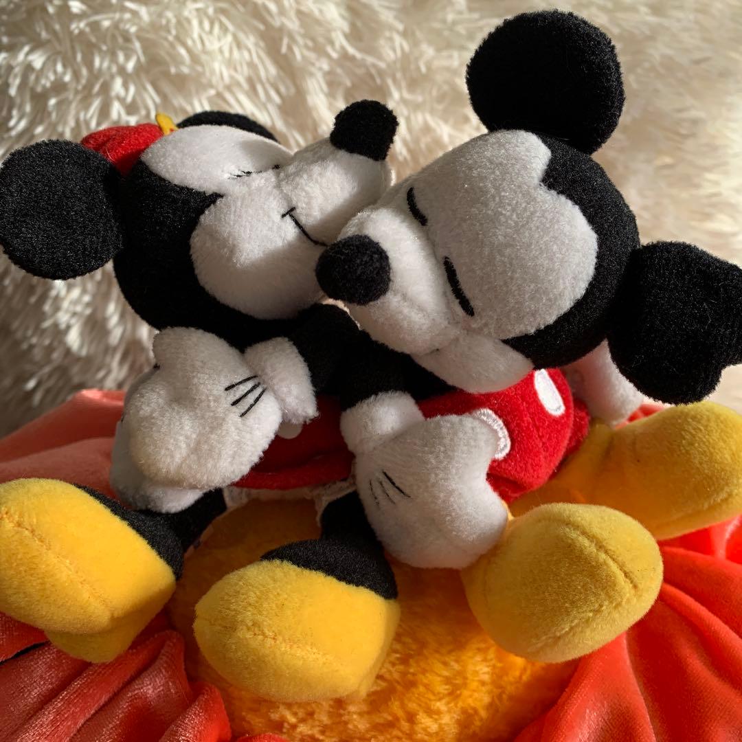 レア ミッキー ミニー ぬいぐるみ 蕾 桃 ディズニーランド 当時物
