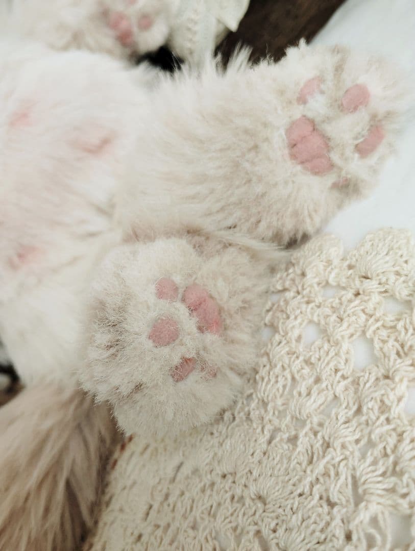 おふぅちゃんオーダー❤ライラックポイント♡子猫ちゃん♡アートドール