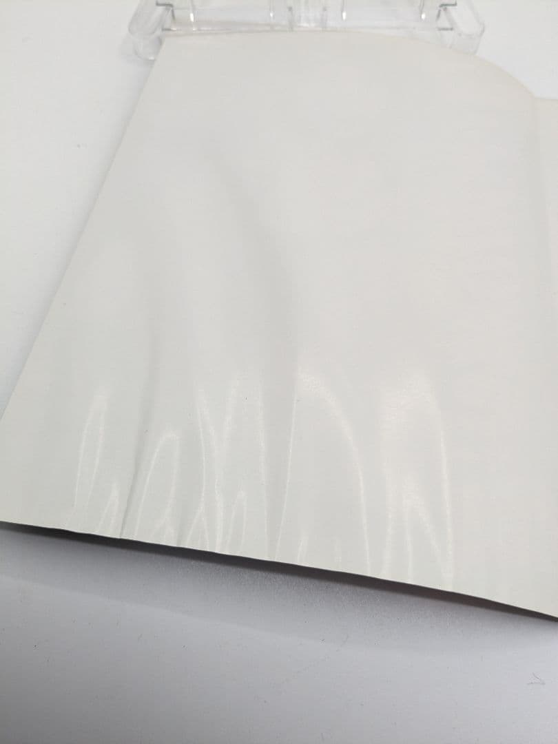 Zero WomanⅡ ゼロ・ウーマン2 警視庁0課の女 小沢なつき