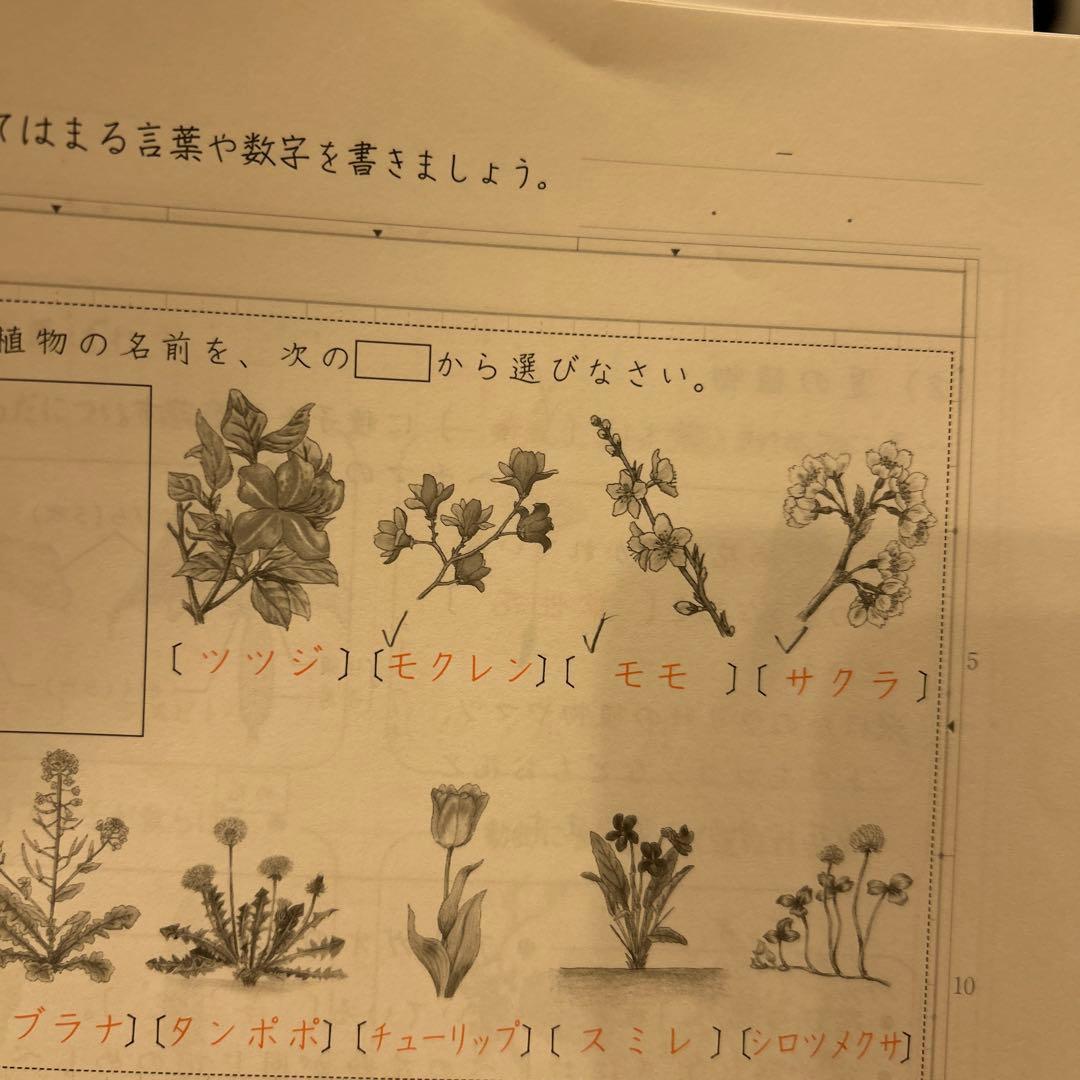 サピックス 知識の総完成 理科 6年生総まとめ 欠番なし - メルカリ