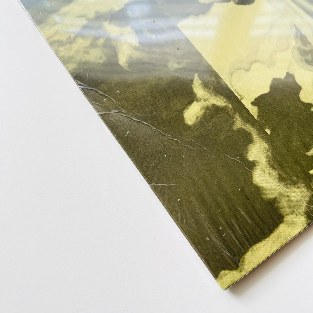 稀少 国内盤オリジナル レコード 坂本慎太郎 ナマで踊ろう ゆらゆら