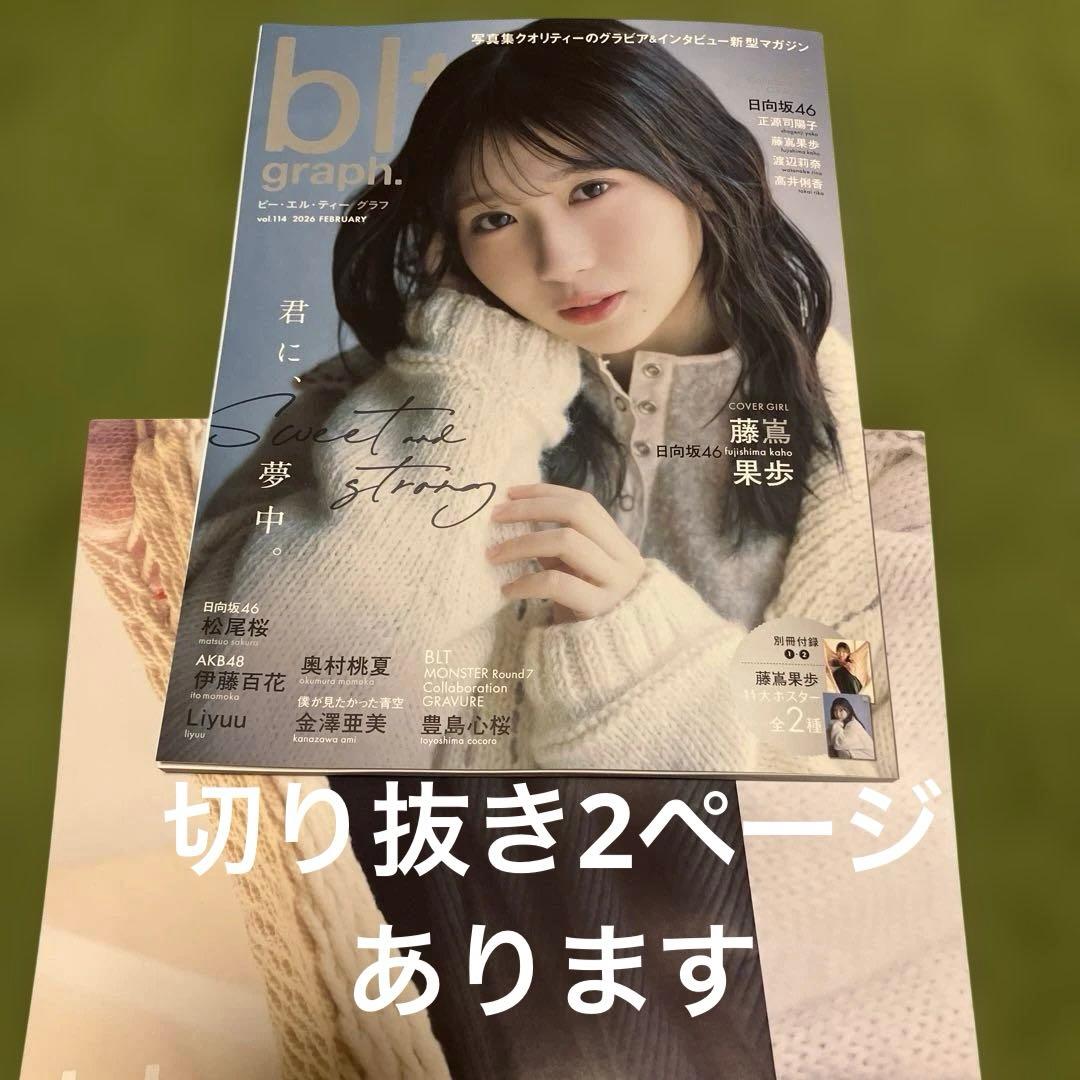 blt graph.vol.114 応募券無し - メルカリ