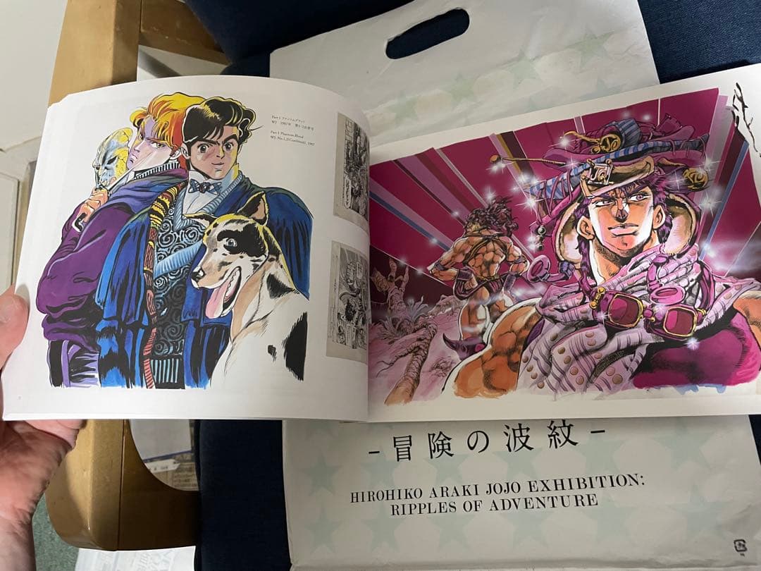 【美品❗️早い者勝ち❗️】荒木飛呂彦原画展 JOJO - 冒険の波紋 -図録