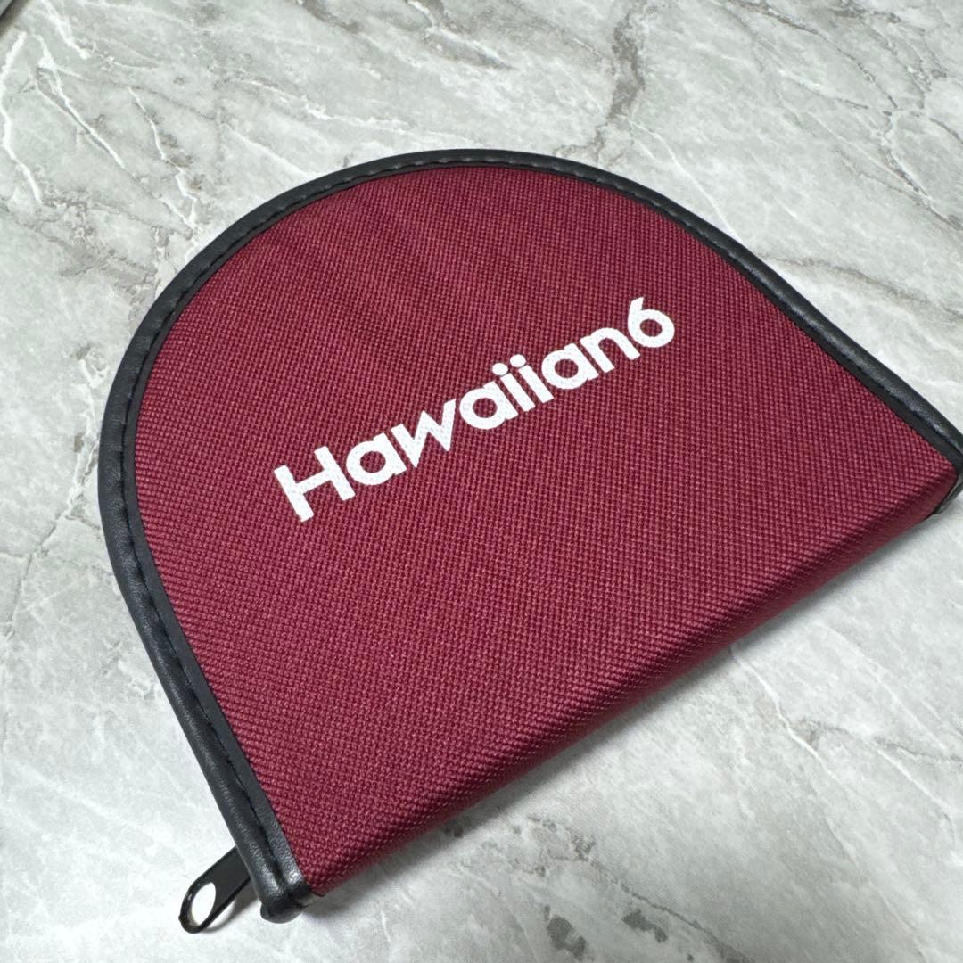 【限定値下げ】新品未使用Hawaiian6＊DVDインディーズ・ロック・マガジン