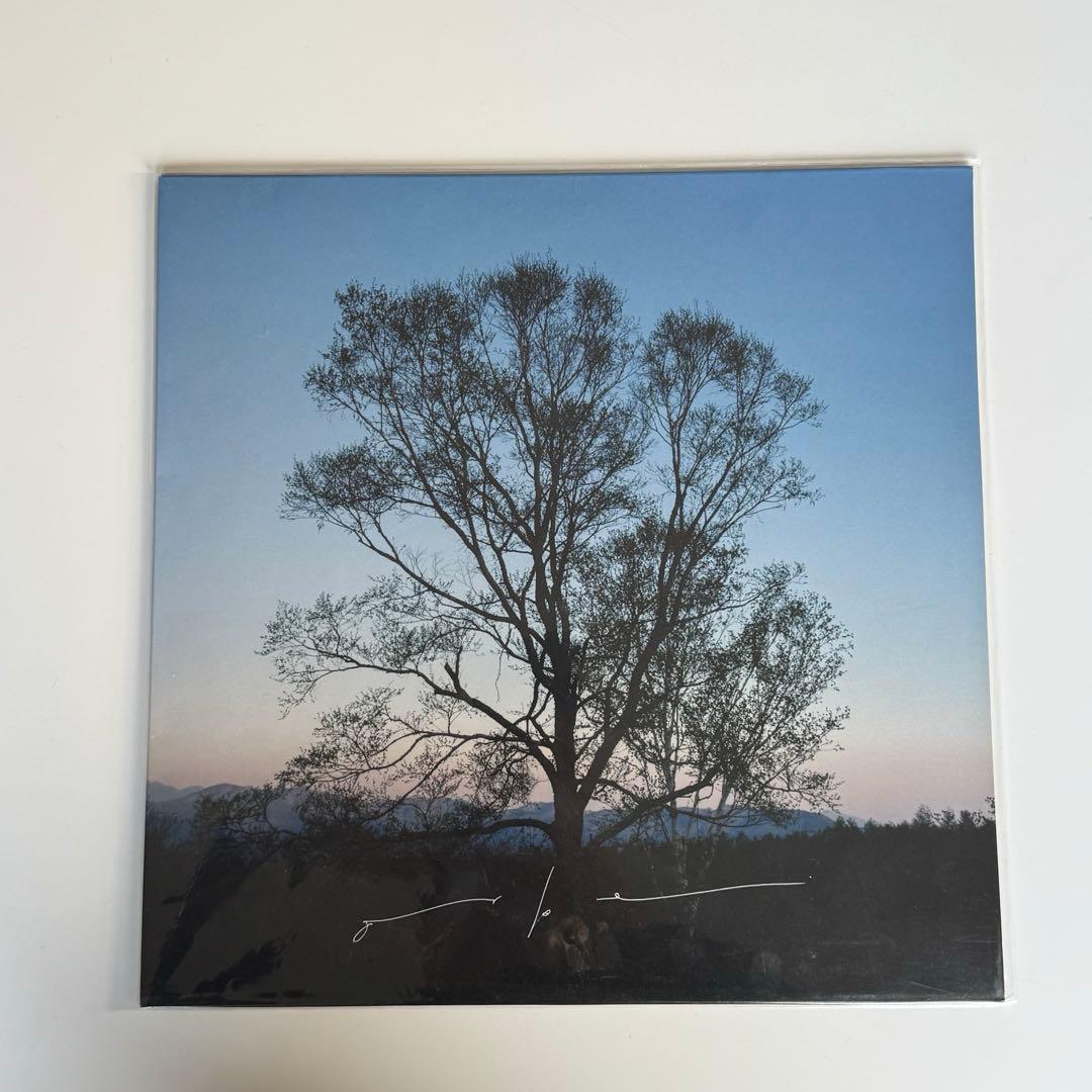 orbe Haruka Nakamura 新品未使用　レコード orbe Haruka Nakamura 新品未使用 レコード - メルカリ