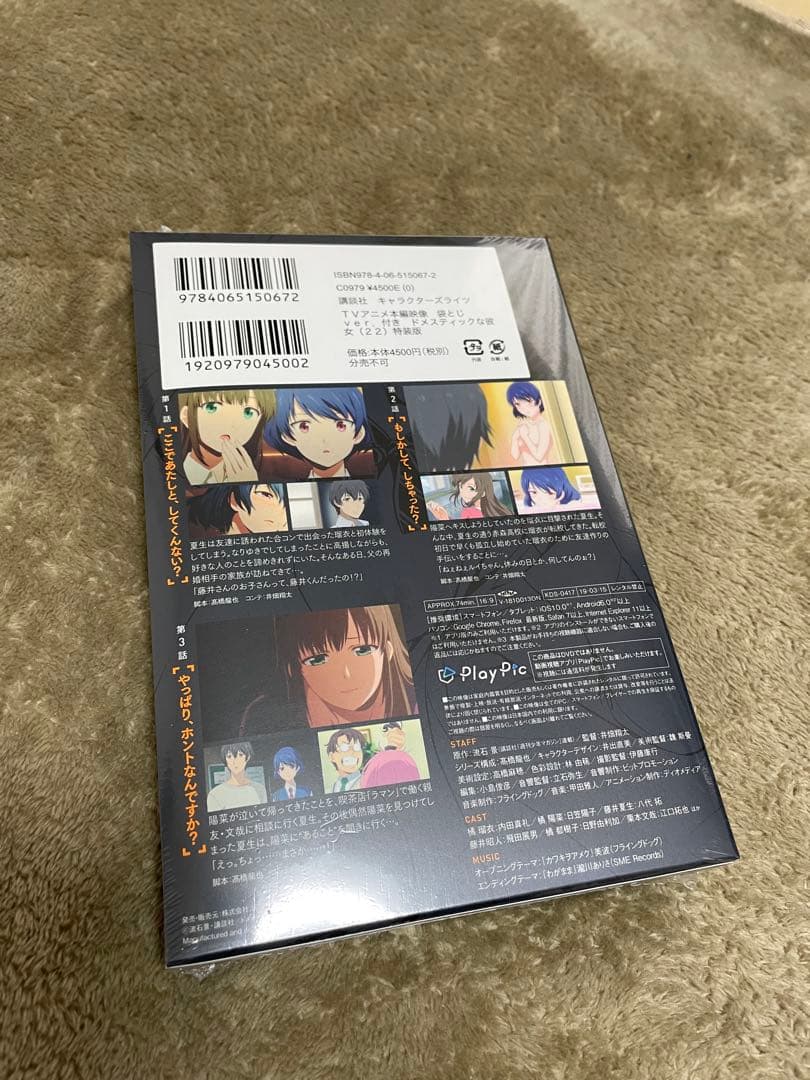 未開封　ドメスティックな彼女【特装版】セット　21〜25※値下げしました