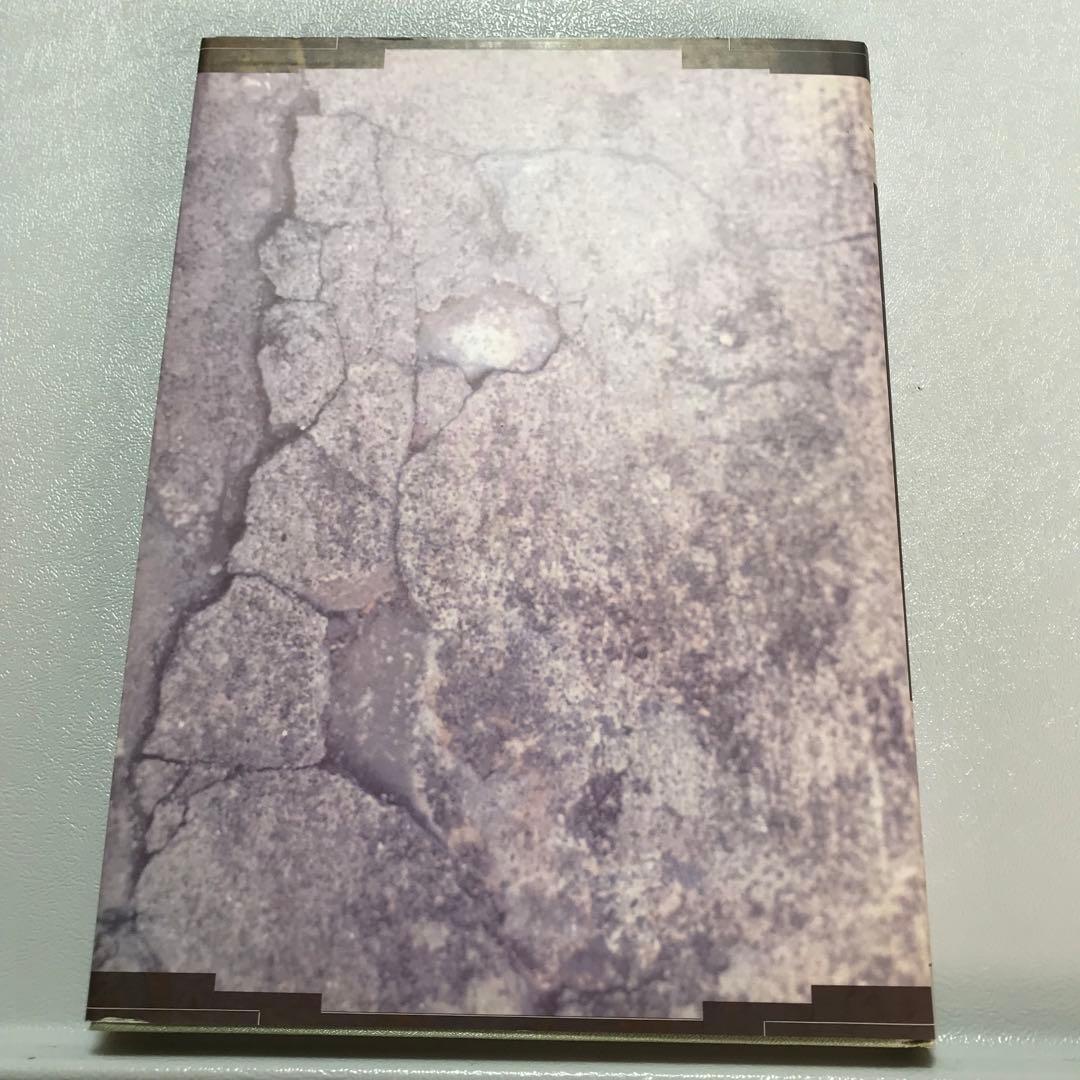 驚異の部屋　ハプスブルク家の珍宝蒐集　Wunderkammer