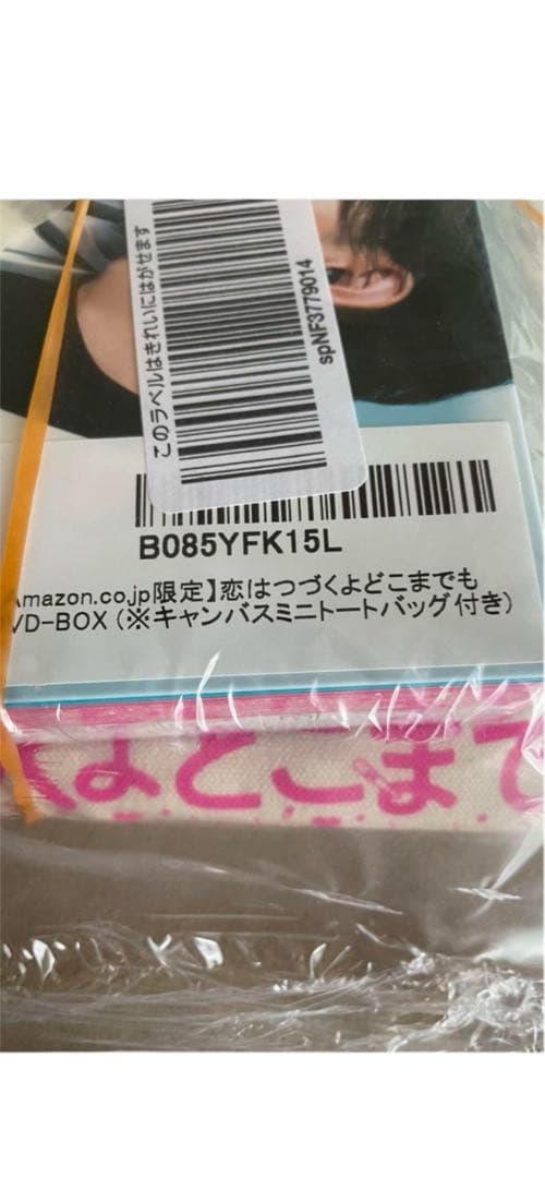 【新品未使用】恋はつづくよどこまでも 恋つづ DVD キャンバスミニトート付